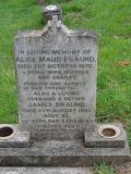 image of grave number 302324